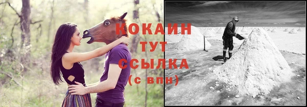дживик Белоозёрский