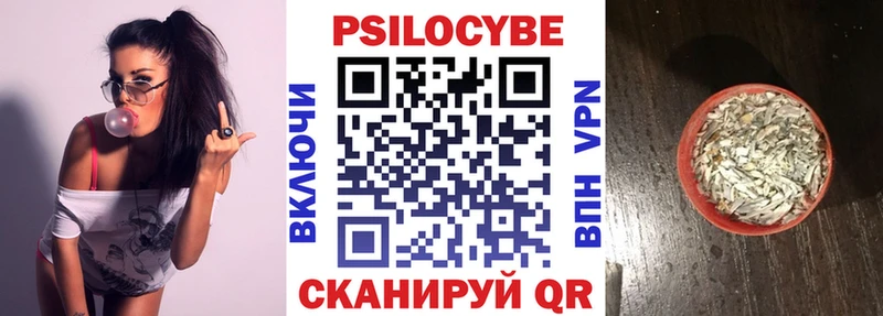Галлюциногенные грибы Psilocybe  Купить где  Кодинск 